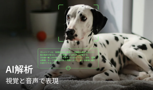 Rokid Glasses review: Hands-on testing of 49 g AI smart glasses