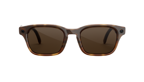 Meta Glasses